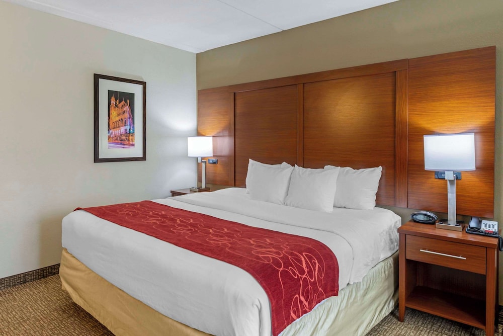 Standard Studio Suite, 1 King Bed, Accessible, Bathtub (Accessible Tub) photo 1