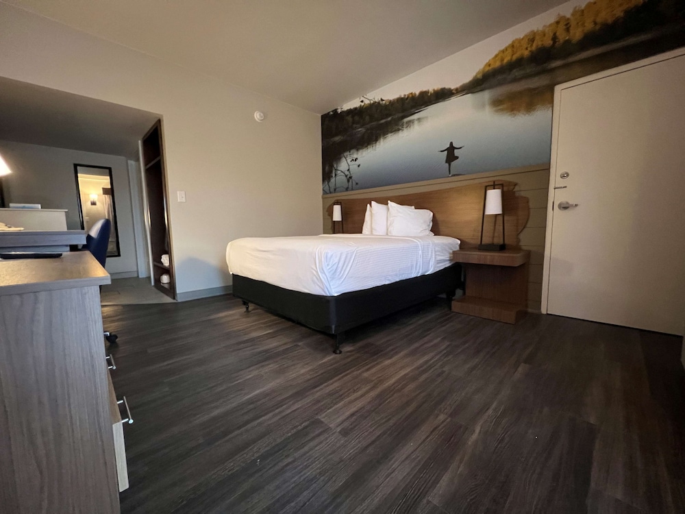 Standard Room, 1 Queen Bed, Accessible, Refrigerator & Microwave (Theme Room)
