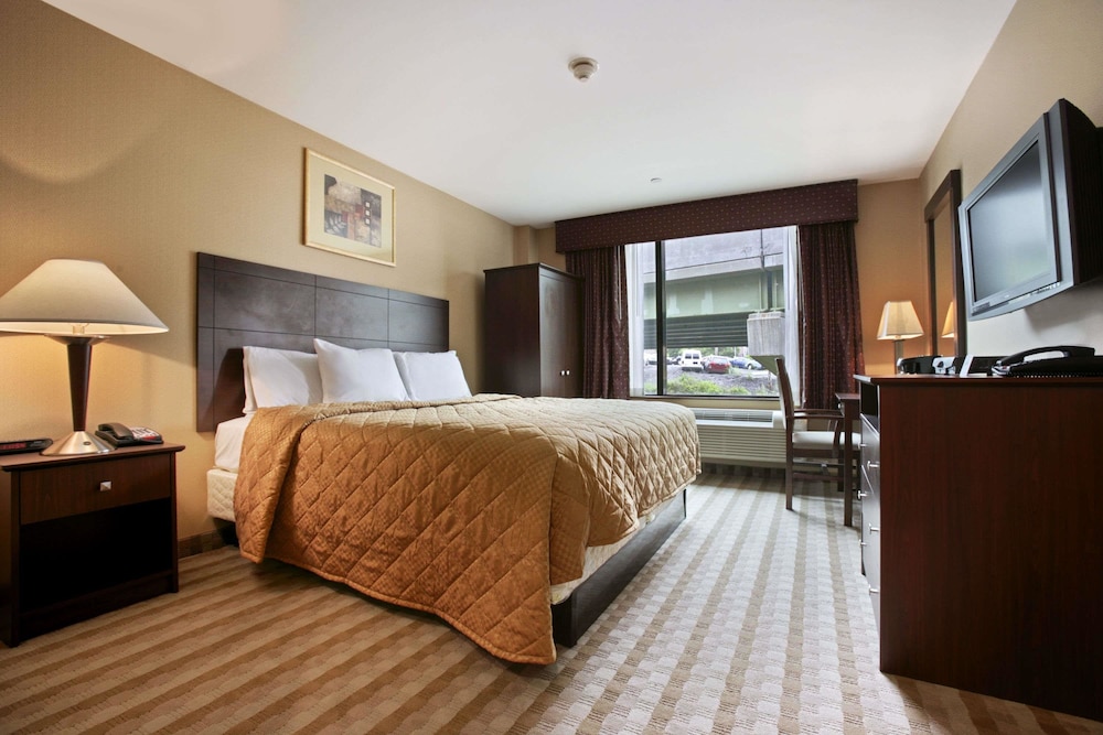 Suite, 1 King Bed photo 1