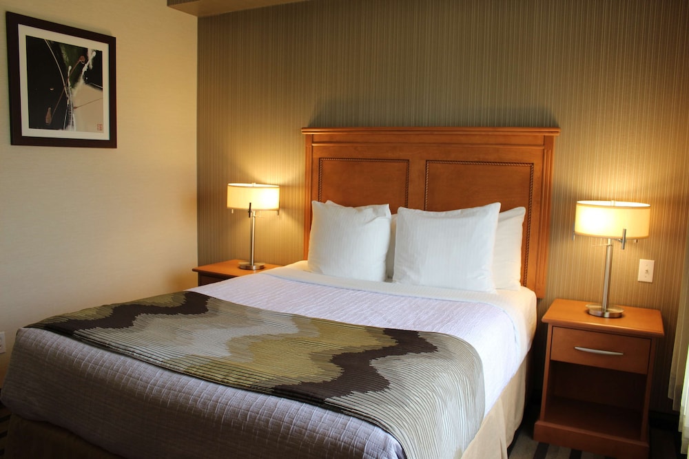Suite, 1 Queen Bed, Non Smoking, Refrigerator & Microwave - Photo 6