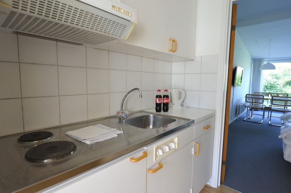 Apartment, 1 Bedroom, Kitchenette photo 2