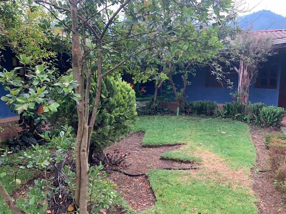 Double Room, 2 Double Beds, Garden View photo 3
