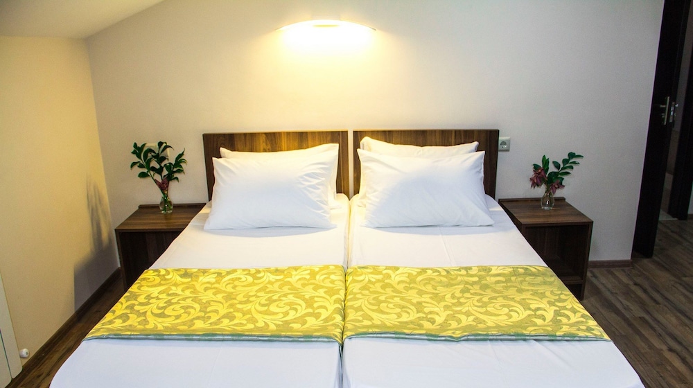 Deluxe Twin Room photo 1