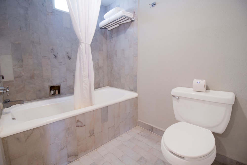 Suite, 1 Bedroom - Photo 5