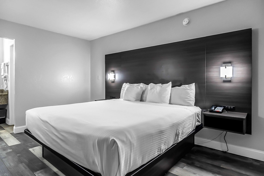 Standard Room, 1 King Bed, Non Smoking, Refrigerator & Microwave photo 1