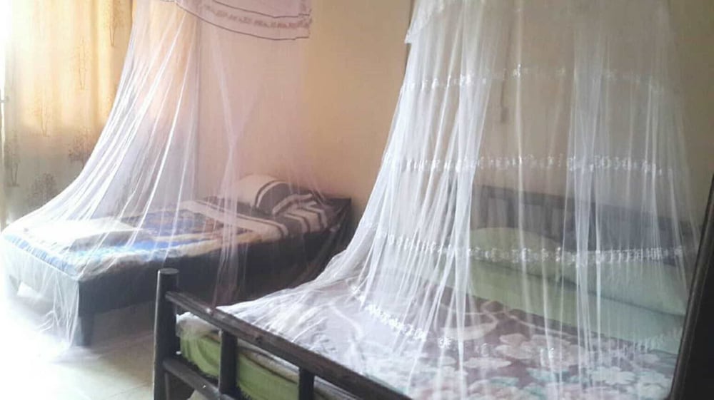 Twin Room photo 1