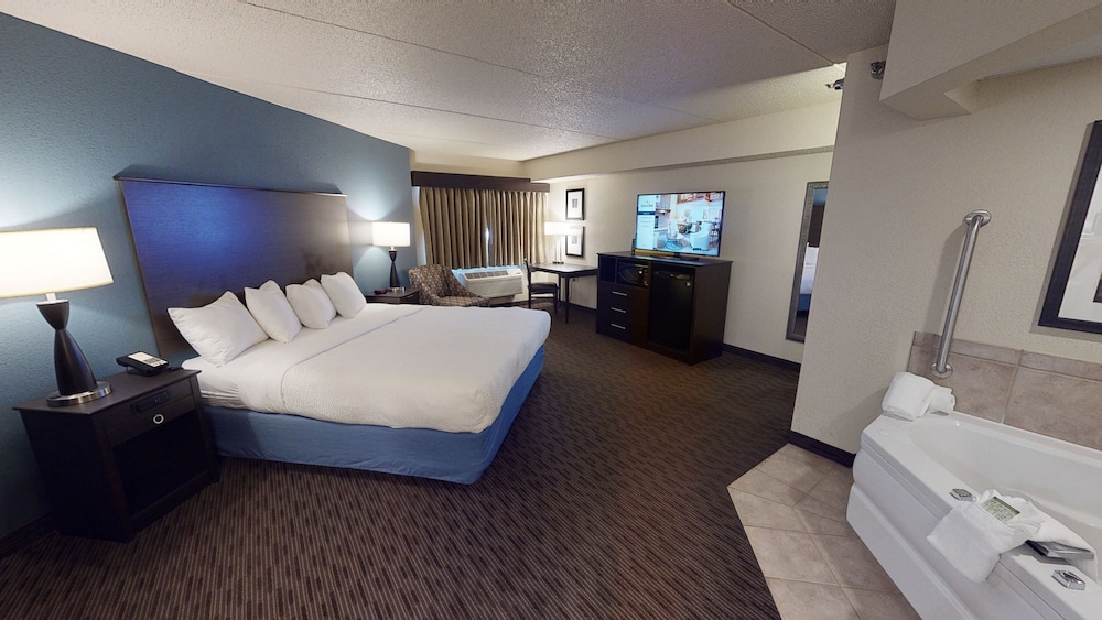 Premier Suite, 1 King Bed, Non Smoking (One-Bedroom Suite) - Photo 11