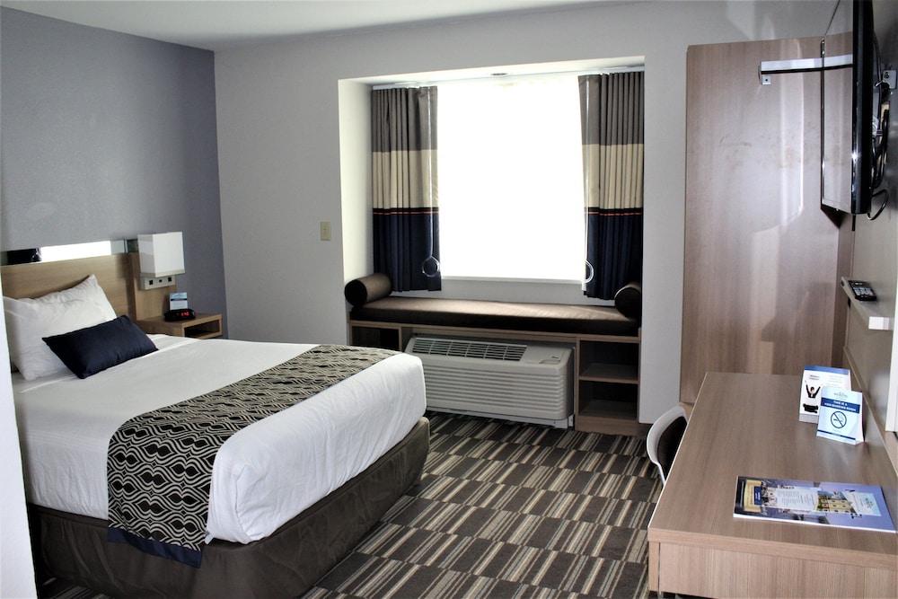 Room, 1 Queen Bed photo 3