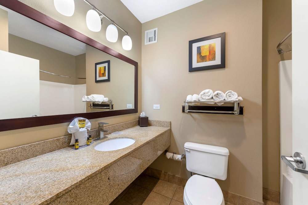 Executive Room, 1 King Bed, Non Smoking, Refrigerator & Microwave (with Sofabed) - Photo 3