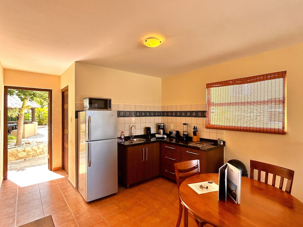 Apartment, 1 Bedroom, Ocean View photo 3