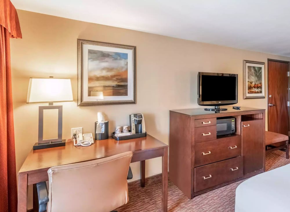 Standard Room, 1 King Bed, Roll-in Shower (Mobility Accessible) - Photo 1