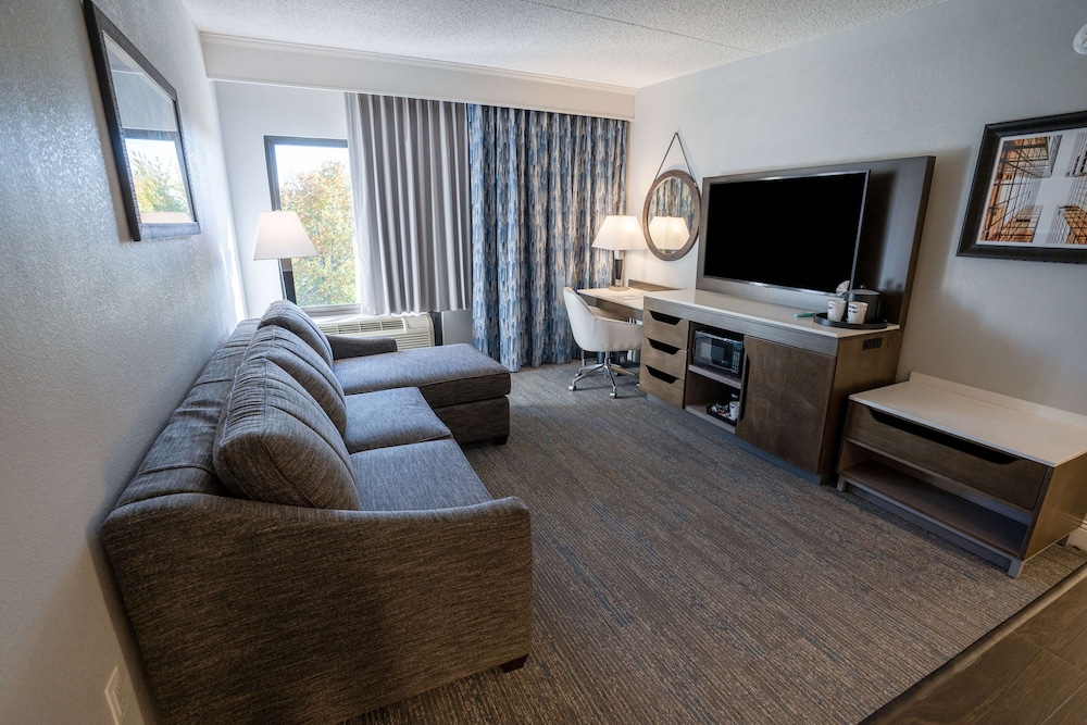 Suite, 1 King Bed, Kitchen - Photo 1