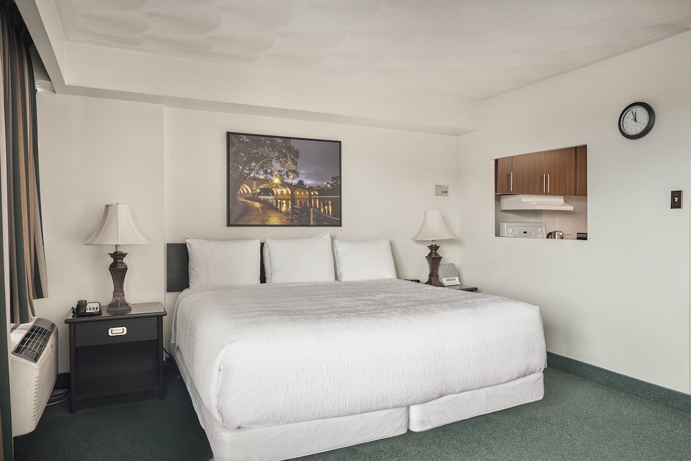 Studio Suite, 1 King Bed - Photo 1