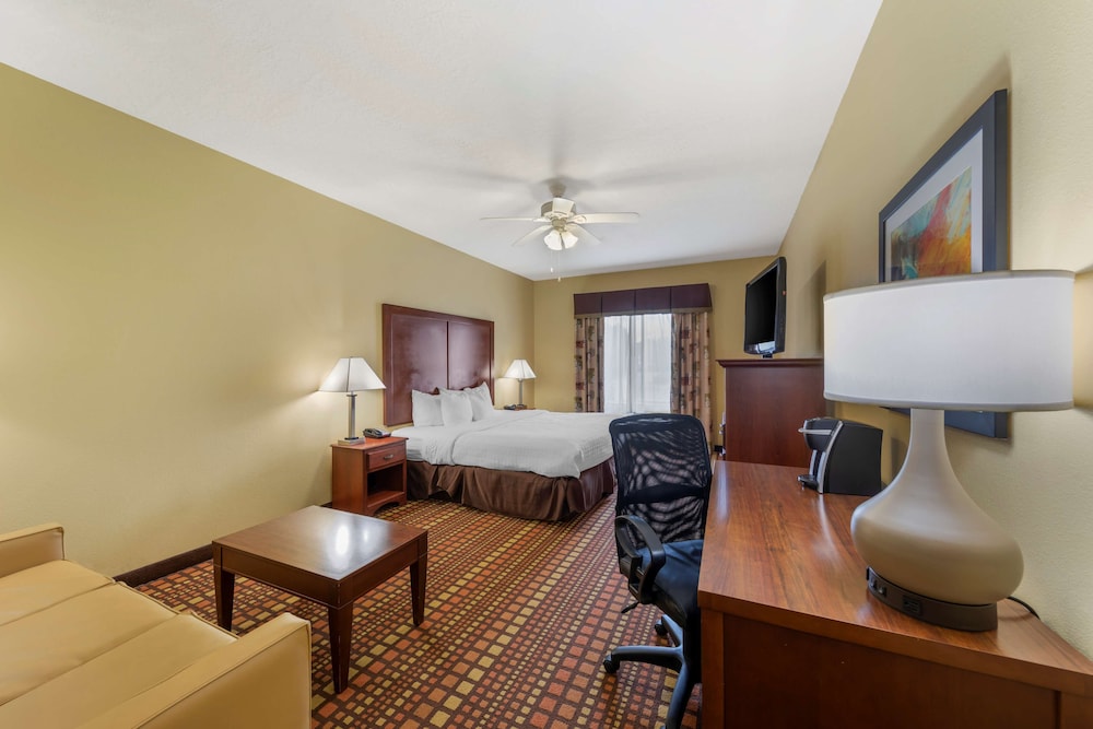 Executive Room, 1 King Bed, Non Smoking, Refrigerator & Microwave (with Sofabed) - Photo 1