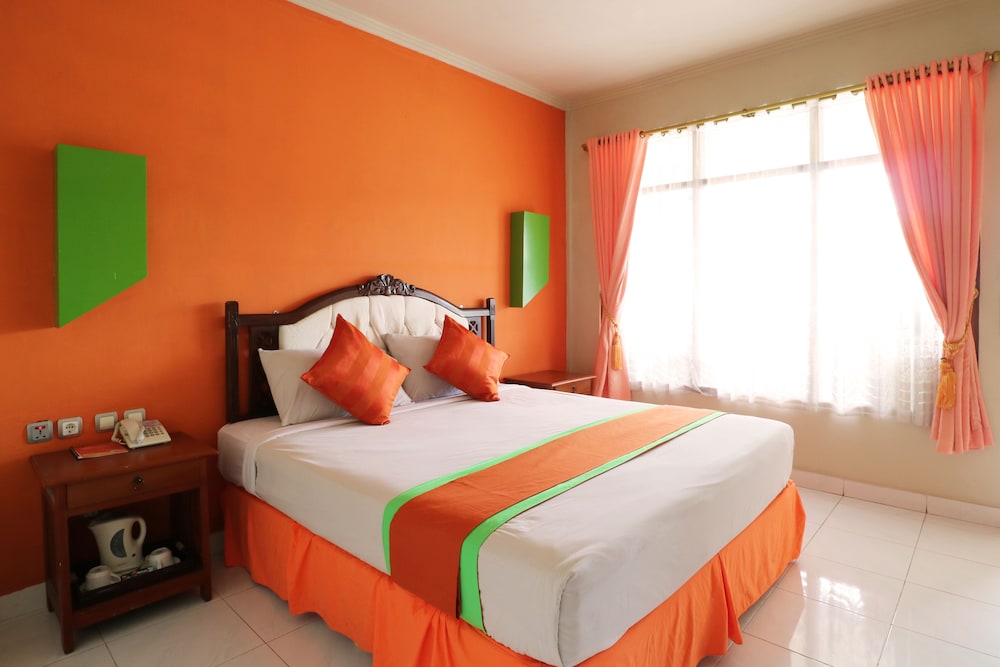 Deluxe Double or Twin Room photo 2
