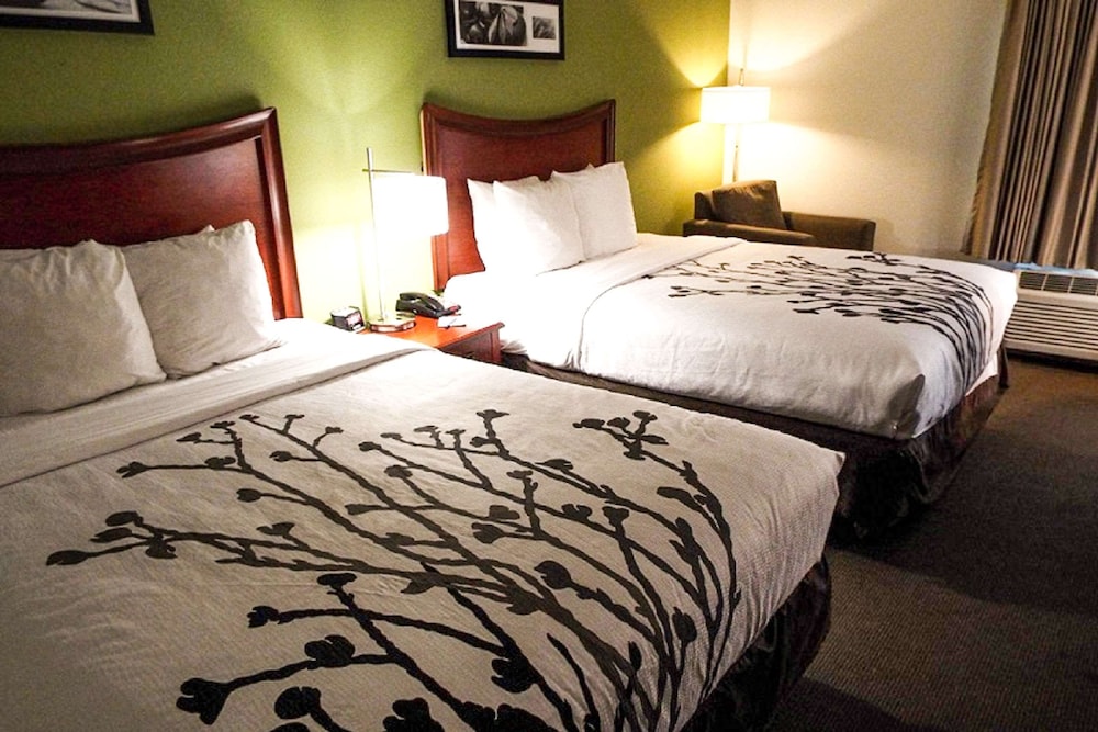 Standard Room, 2 Double Beds, Non Smoking, Bathtub photo 1