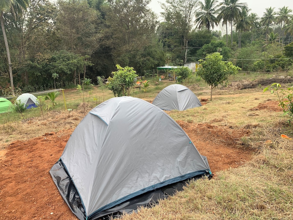 Basic Tent - Photo 2