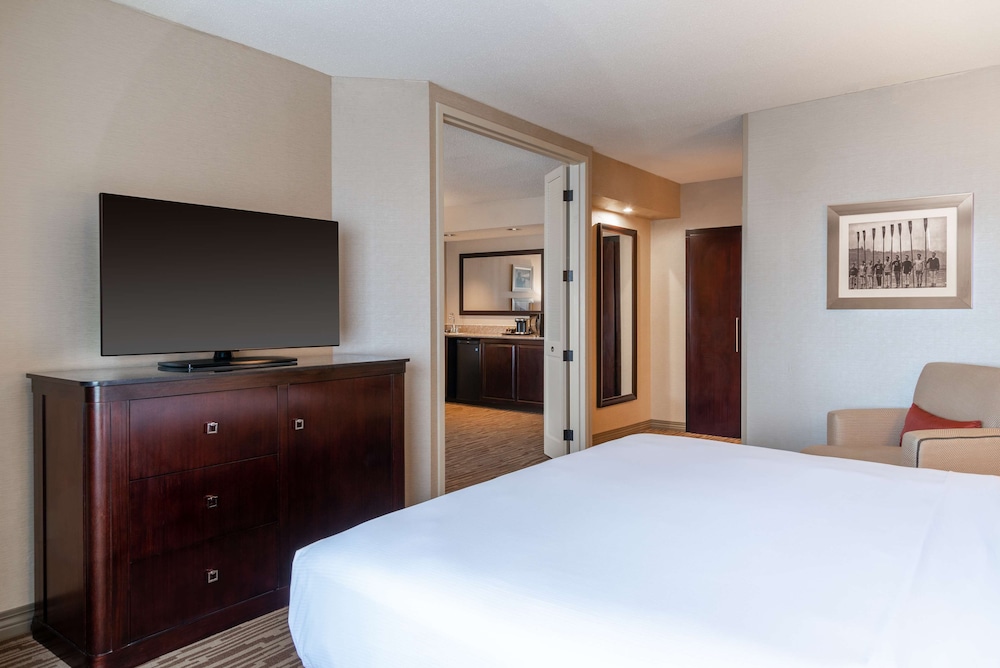 Suite, 1 King Bed photo 2