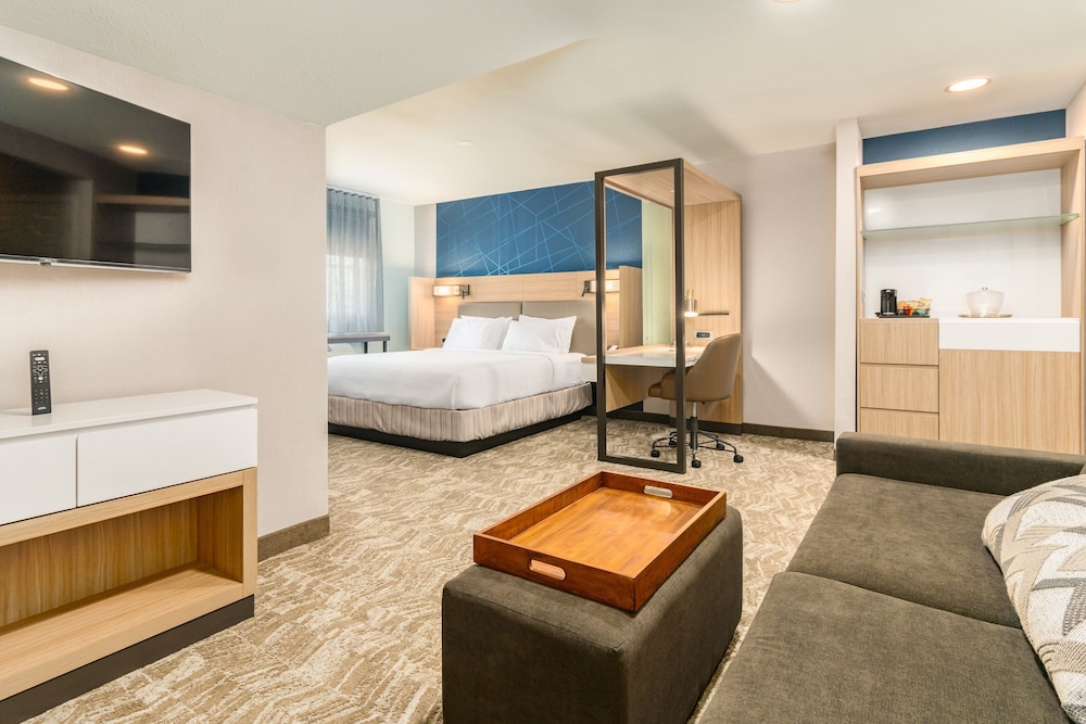 Executive Suite, 1 King Bed - Photo 9