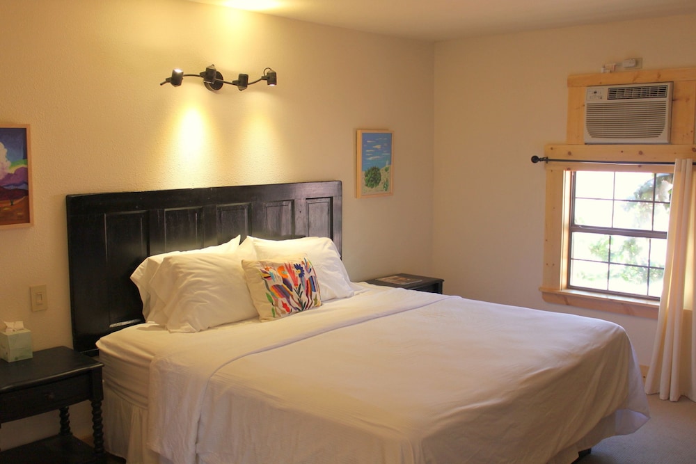 Standard Single Room, 1 King Bed