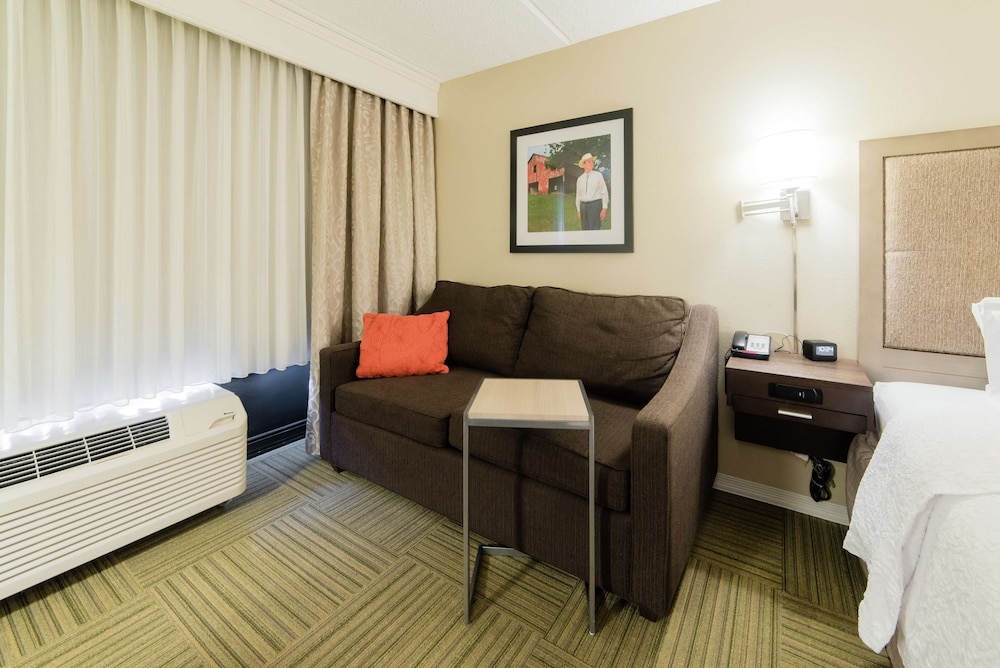 Room, 1 King Bed with Sofa bed, Accessible, Lake View (Hearing) - Photo 2