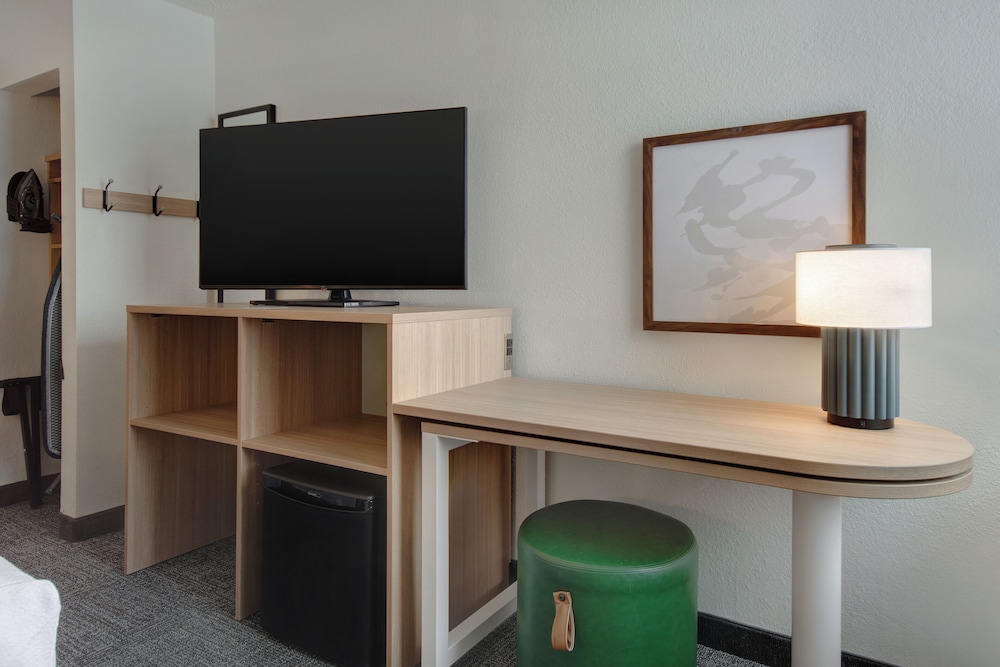 Room, 1 King Bed, Accessible (Roll-In Shower) - Photo 8