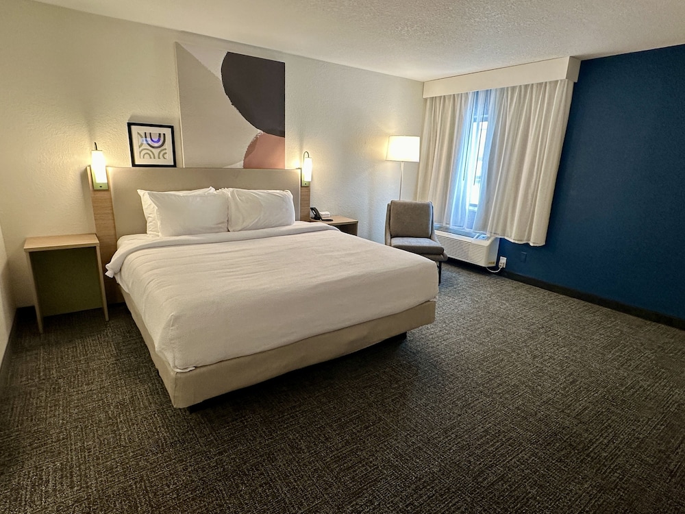 Suite, 1 Bedroom - Photo 2