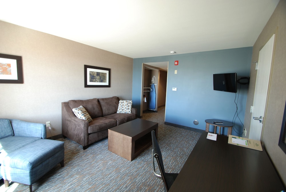 Suite, 1 King Bed, Accessible, Non Smoking (Roll-In Shower) photo 3