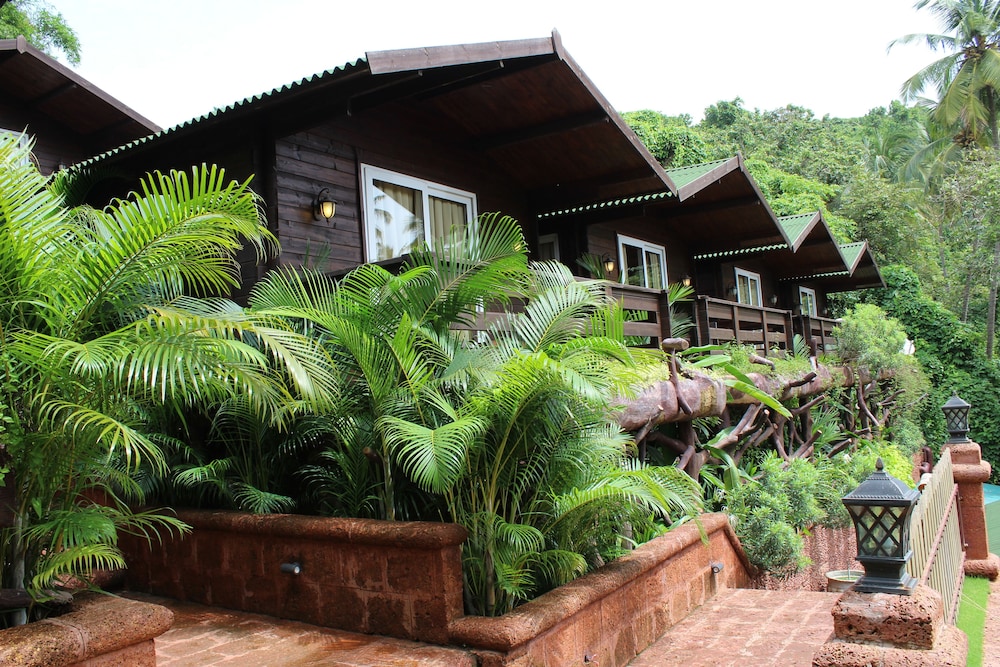 Deluxe Cottage photo 3