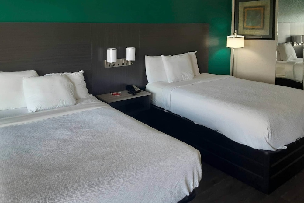 Quality Inn & Suites, 사진 5