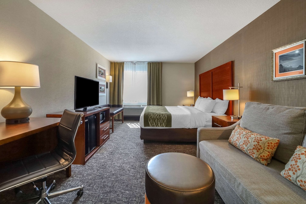 Standard Room, 1 King Bed, Non Smoking - Photo 3
