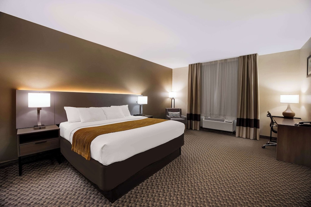 Room, 1 King Bed, Non Smoking, Jetted Tub photo 2