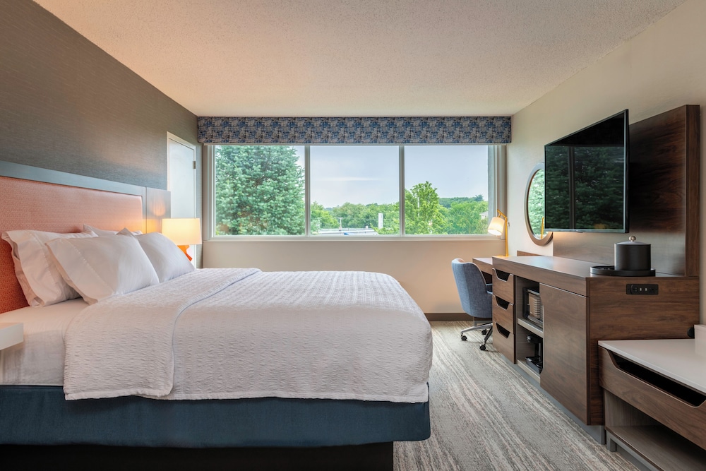 Room, 1 King Bed, Refrigerator - Photo 1