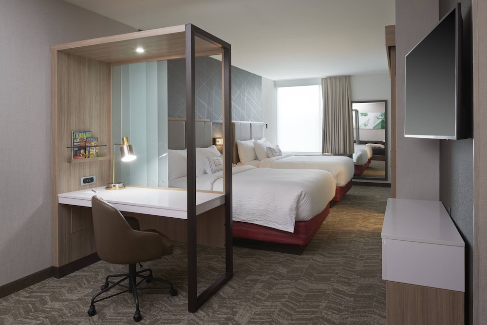 Suite, Multiple Beds photo 1