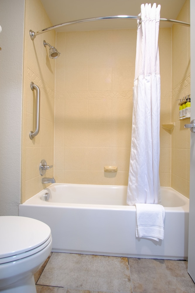 Studio Suite, 1 King Bed, Kitchen - Photo 3