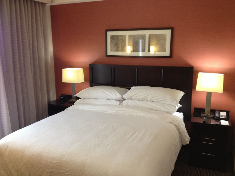 Suite, 1 King Bed, Accessible photo 2