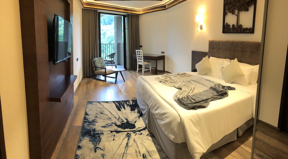 Deluxe Room - Photo 2