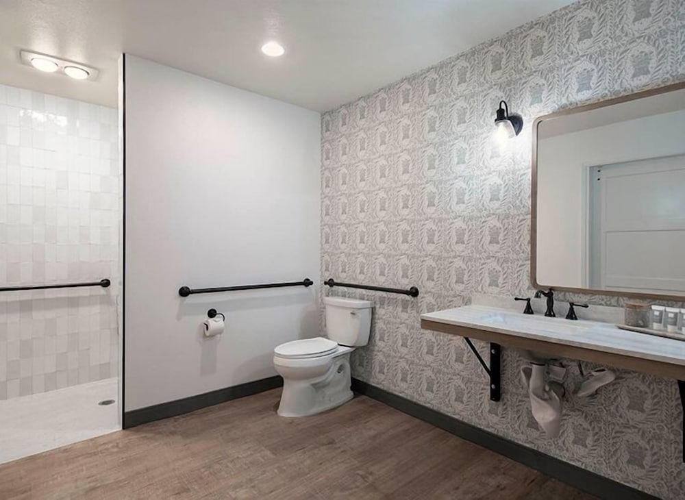 Standard Room, 1 King Bed, Accessible, Fireplace - Photo 4