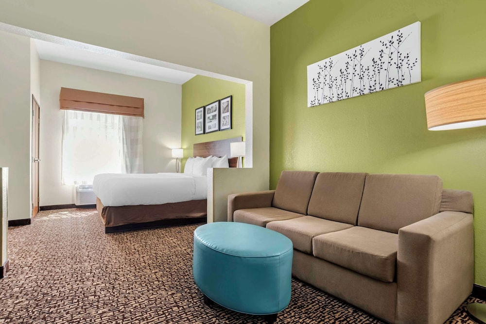 Suite, 1 King Bed with Sofa bed, Non Smoking - Photo 3