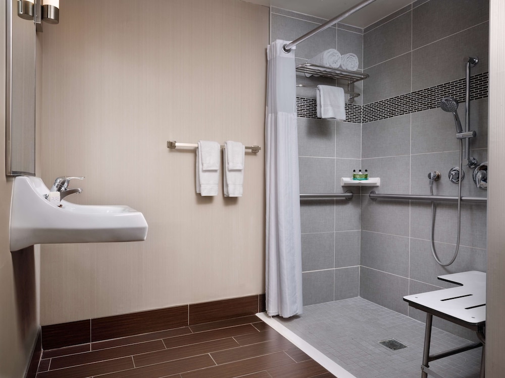 Room, 1 King Bed, Accessible (Roll-in Shower)
