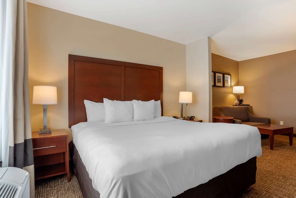 Suite, 1 King Bed, Accessible, Non Smoking photo 3