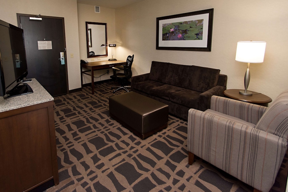 Suite, One King Bed photo 3