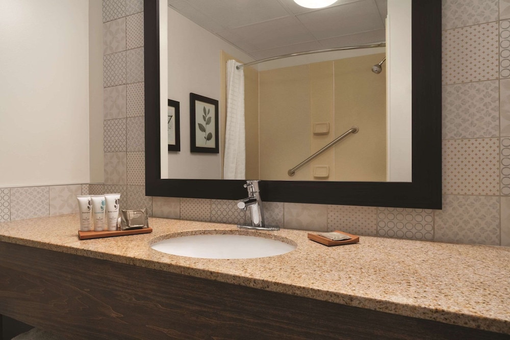 Studio Suite, 1 King Bed, Accessible, Non Smoking (Roll-in Shower) - Photo 7