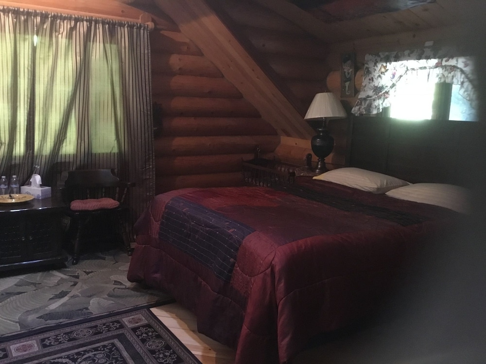 Room, 1 Queen Bed (C) photo 3