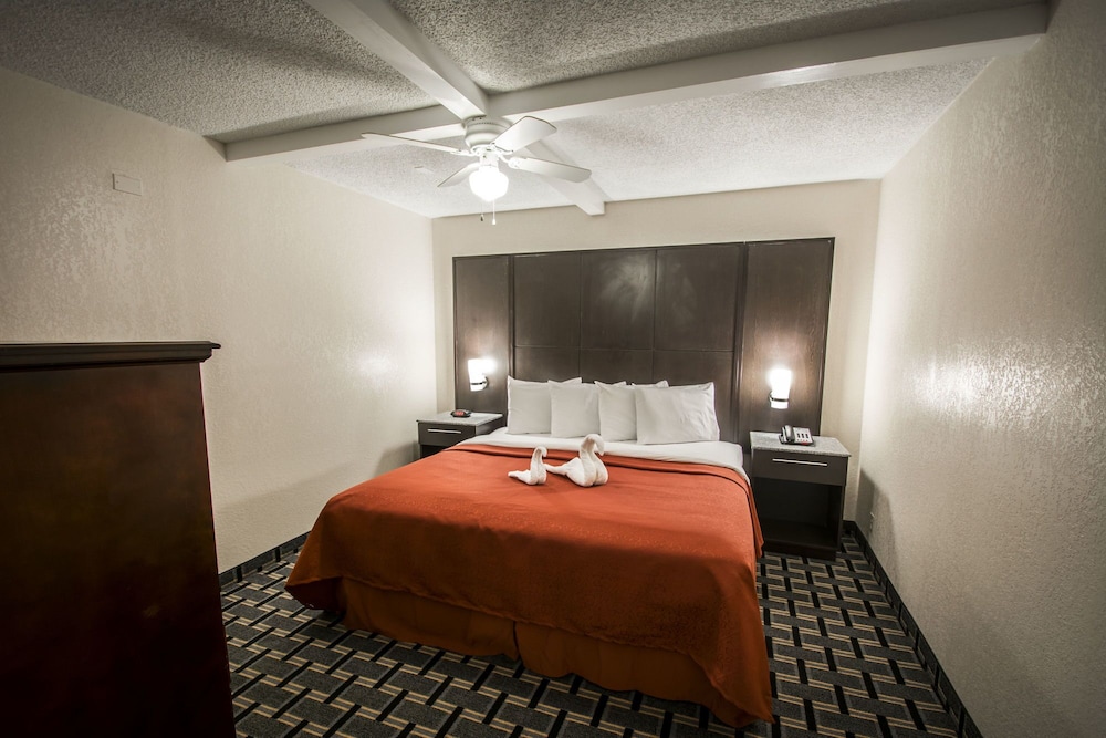 Standard Studio Suite, 1 King Bed with Sofa bed photo 1