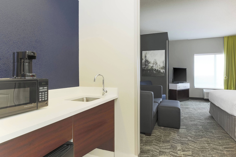 Studio Suite, 1 King Bed with Sofa bed (Mobility/Hearing Access, Roll-in Shwr) thumbnail 6