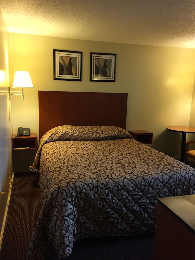 Room, 1 Queen Bed photo 2
