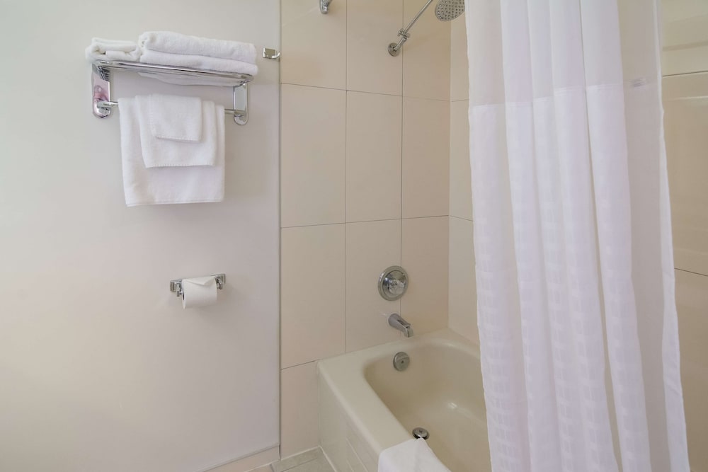 Standard Room, 2 Double Beds, Non Smoking, Refrigerator & Microwave - Photo 4
