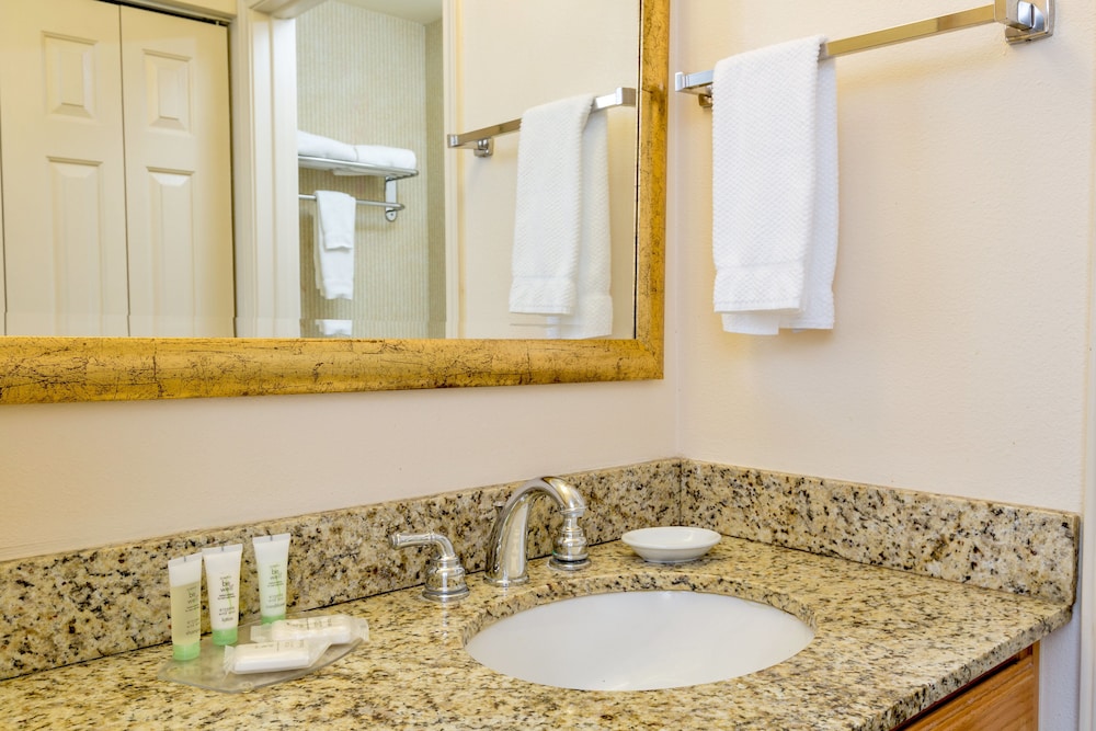 Suite, 1 Bedroom, Kitchen - Photo 5