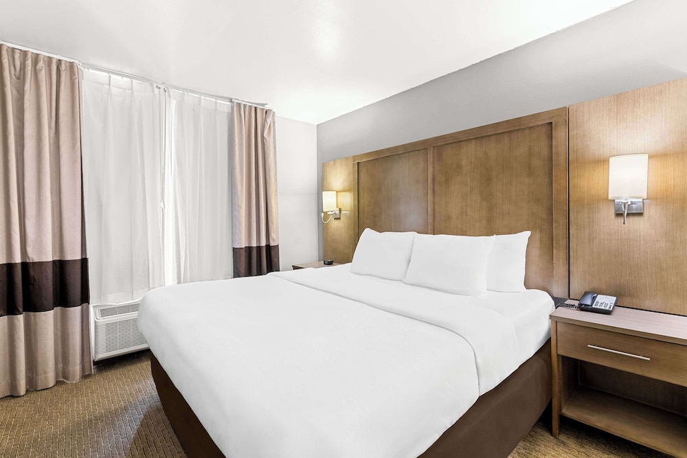 Suite, 1 King Bed with Sofa bed, Non Smoking photo 1